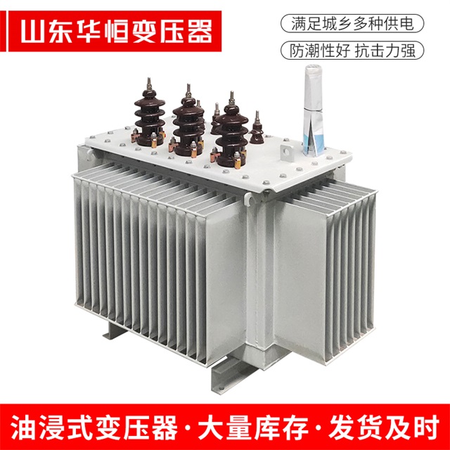 S13-10000/35汝南汝南汝南油浸式变压器厂家
